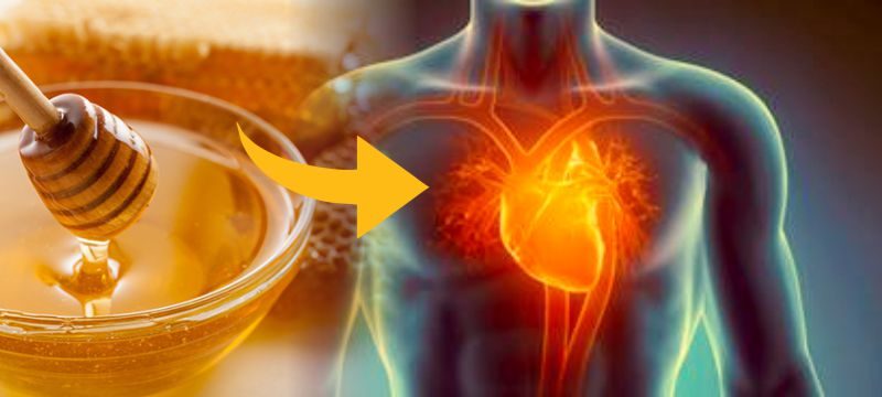 Bisakah Madu Menjaga Kesehatan Jantung?